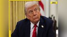  White House's BIG statement on 50 percent tariff on India, says, 'India is the Maharaja of...' 