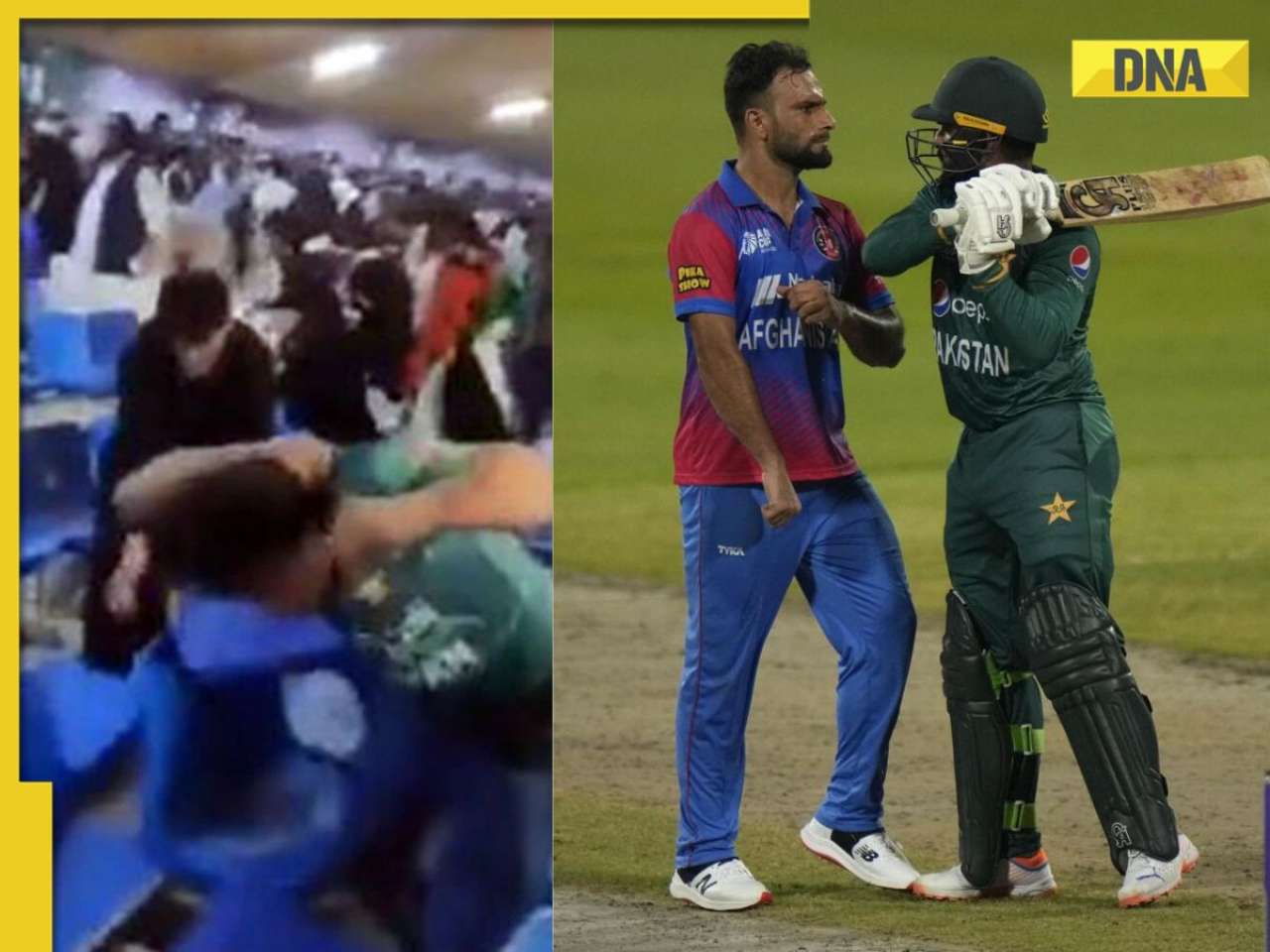 'Separate stands, entry gates': Sharjah enhances security with strict crowd control for Pakistan-Afghanistan T20 encounters