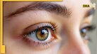 Cholesterol Signs In Eyes: आंखें खोल देंगी शरीर में कोलेस्‍ट्रॉल बढ़ने का राज, ये लक्षण दिखते ही हो जाएं सावधान