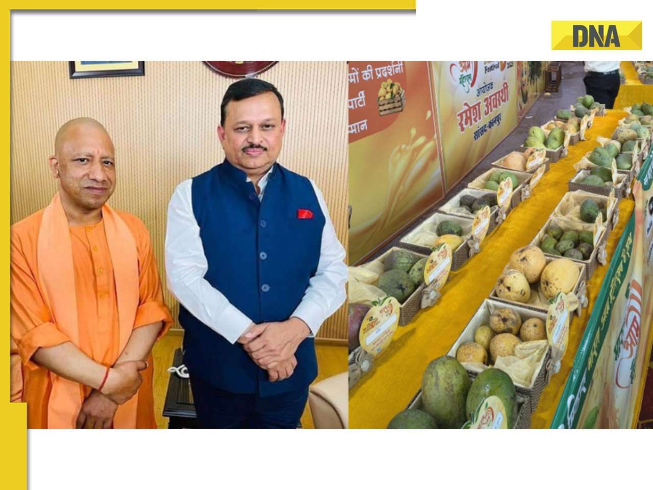 'Taste of Atmanirbhar Bharat’: CM Yogi praises Kanpur MP Ramesh Awasthi’s festival; UP’s mango leadership in focus