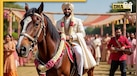 दूल्हे को घोड़े पर नहीं, घोड़ी पर क्यों बिठाया जाता है? 90% शादीशुदा लोग नहीं जानते वजह