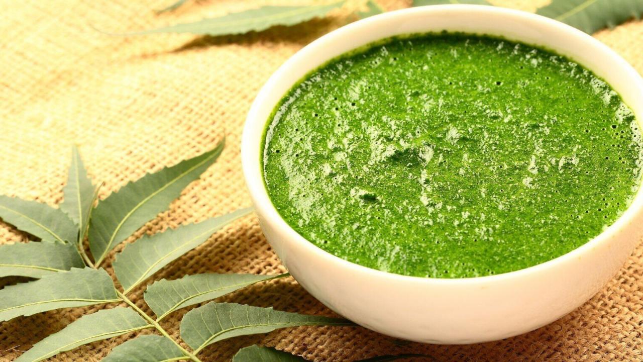 नीम के पत्तों की चटनी