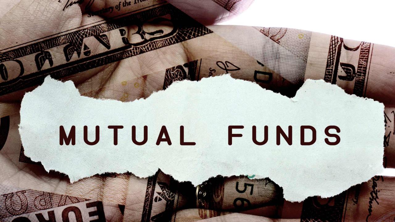 Quant Flexi Cap Fund