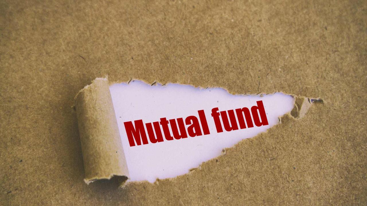 Parag Parikh Flexi Cap Fund