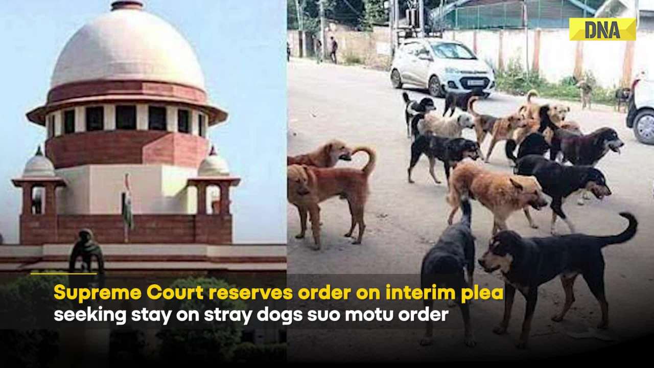 Supreme Court On Stray Dogs: SC Keeps Stray Dogs Case Open, Reserves Decision On Suo Motu Order