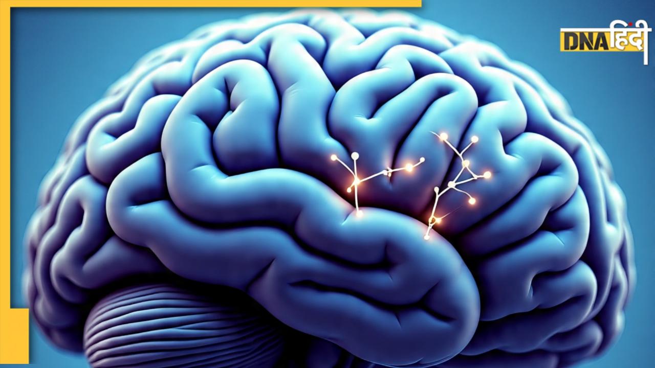 ये 5 फूड्स दिमाग को कर देते हैं कुंद, डॉक्टर ने बताया Mental Health के लिए हैं खतरनाक