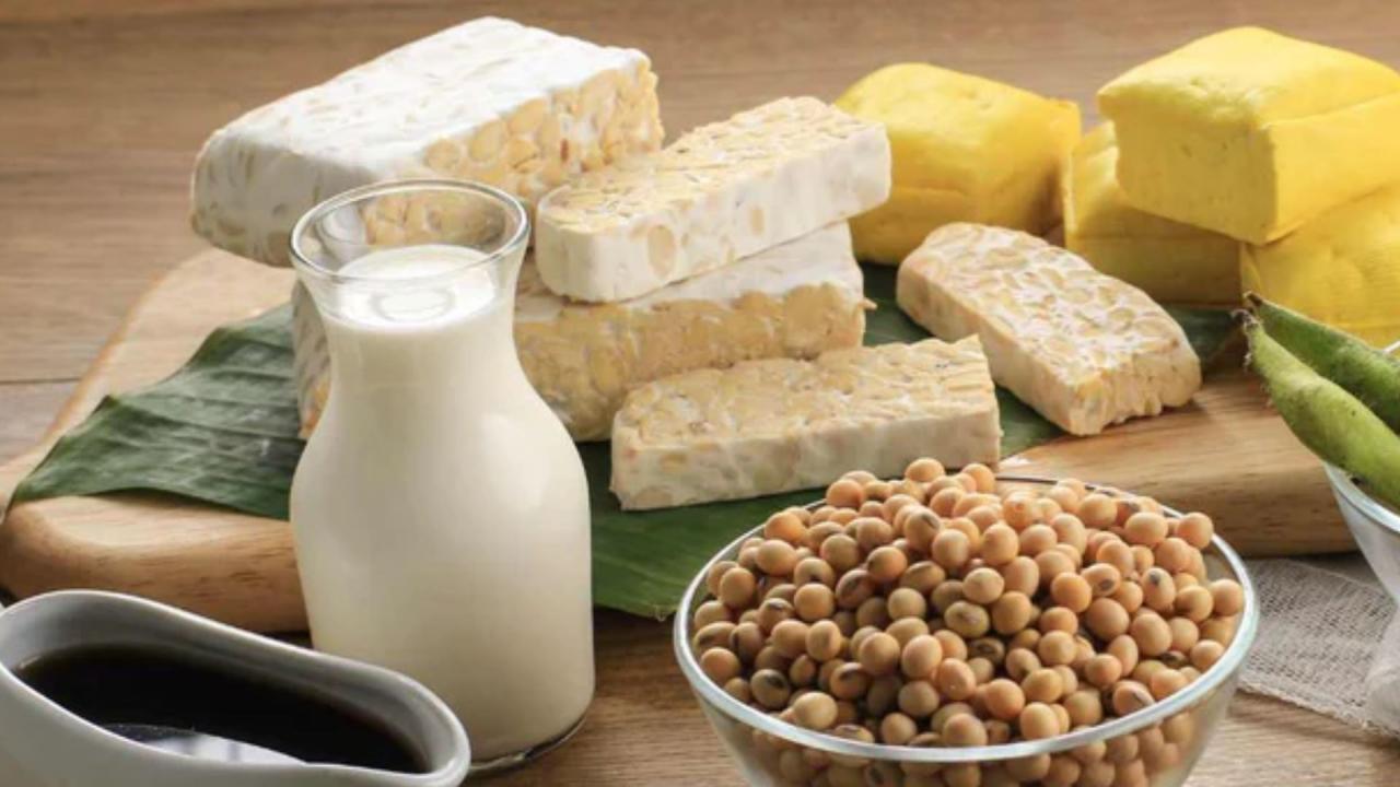 सोया प्रोडक्ट्स