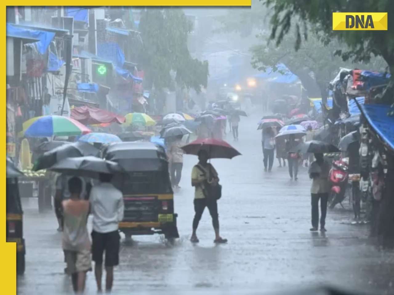 general Mumbai Rains Live Updates: IMD issues 'Red Alert' amid heavy showers, check local train, schools, offices updates