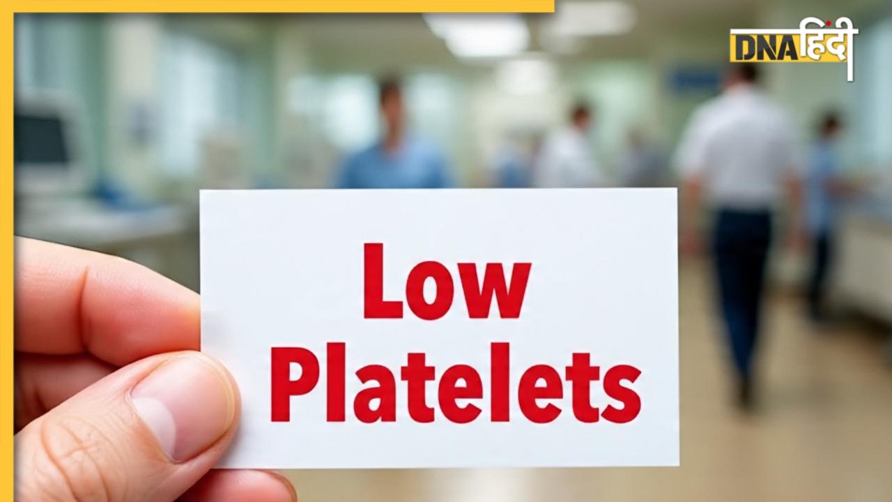 Low Platelets: ब्लड में प्लेटले्टस कम होने का संकेत हैं ये शारीरिक दिक्कतें, जान लें कितना कम होने पर जा सकती है जान?