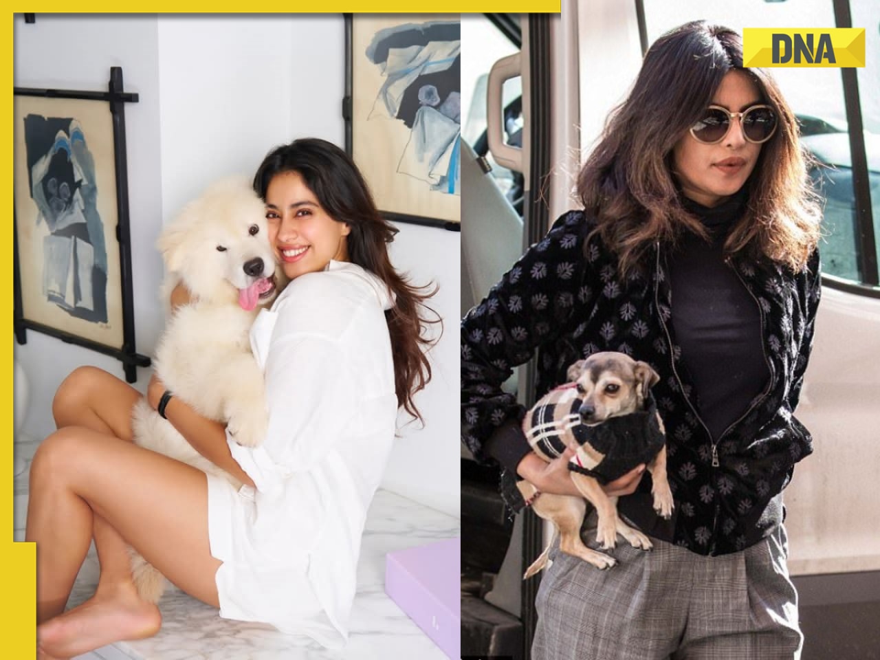International Dog Day: 8 Bollywood celebs with their adorable furry friends