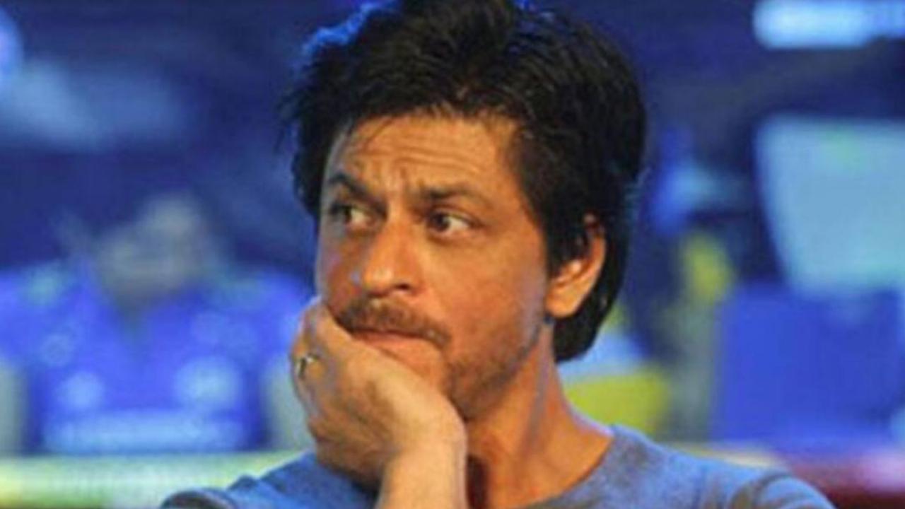 From Shah Rukh Khan to Alia Bhatt ... These celebs sent help for Punjab flood victims. DNA hindi