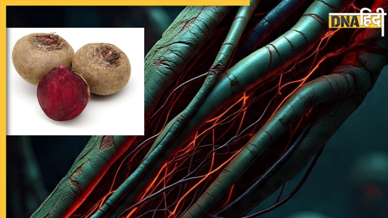 Blood Boosting Foods: ये फल है खून बनाने की मशीन! हड्डियों से लेकर स्किन तक के लिए है फायदेमंद
