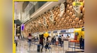  GOOD news for Noida, Greater Noida residents! Delhi's IGI Airport soon to launch luxury buses; know timings, routes and more 
