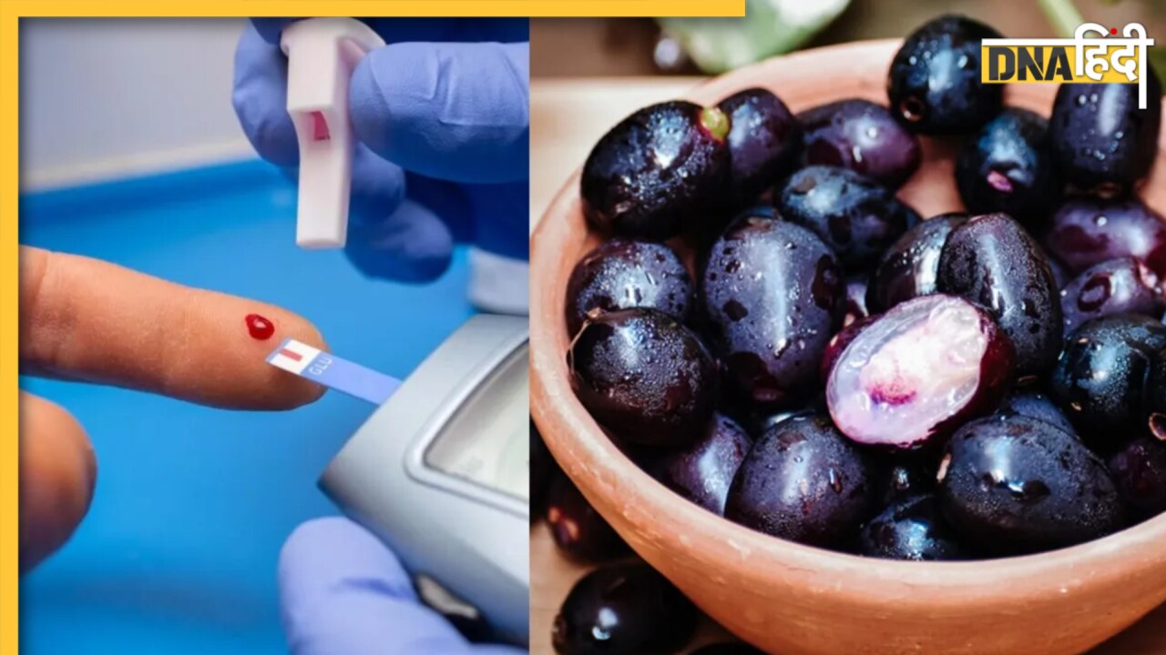 Diabetes में इस फल के बीज से लेकर पत्ते तक हैं रामबाण उपाय, High Sugar Control करने के लिए जान लें सेवन का सही तरीका