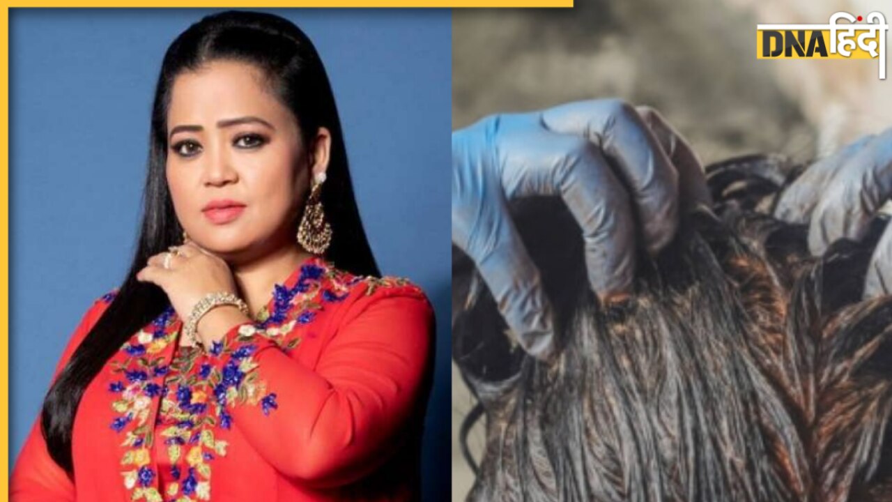 Hair Care Tips: बालों को कलर करने के लिए भारती सिंह ने बताया आसान घरेलू उपाय, मंहगे हेयर डाई की नहीं पड़ेगी जरूरत 