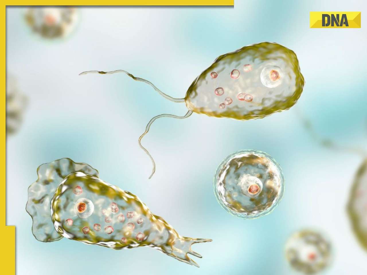 Kerala reports 19 deaths from 'brain-eating amoeba': Know symptoms, risks and treatment
