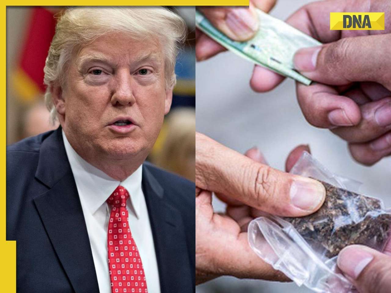 Donald Trump lists THESE countries as major drug-producing, transit nations, including Pakistan, Afghanistan....; is India named?