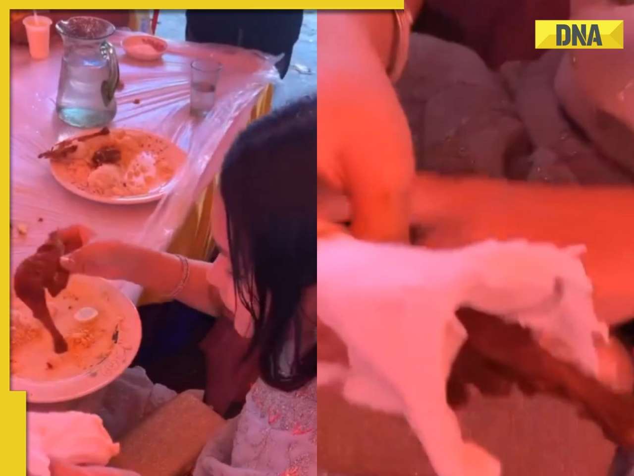 Viral video: Woman caught wrapping chicken leg in purse, netizens say 'emergency food'