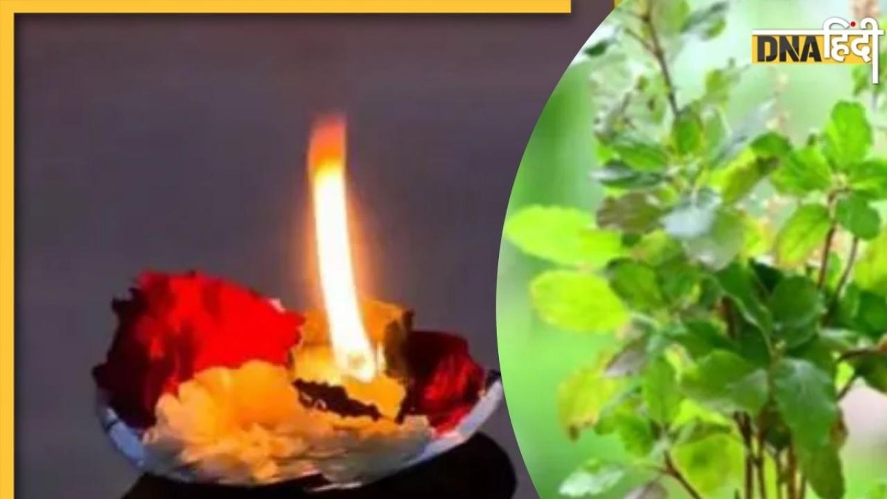 Sarva Pitru Amavasya 2025: सर्व पितृ अमावस्या पर करें तुलसी से जुड़े ये खास उपाय, खुलेंगे सुख-समृद्धि के मार्ग