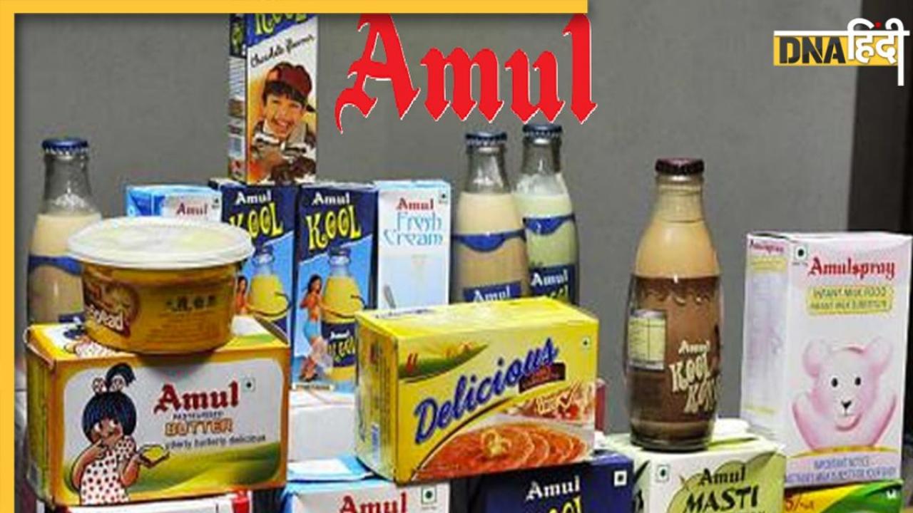 Purpose Of Life Latest News And Updates In Hindi Purpose Of Life Purpose of life latest news and updates in hindi purpose of life