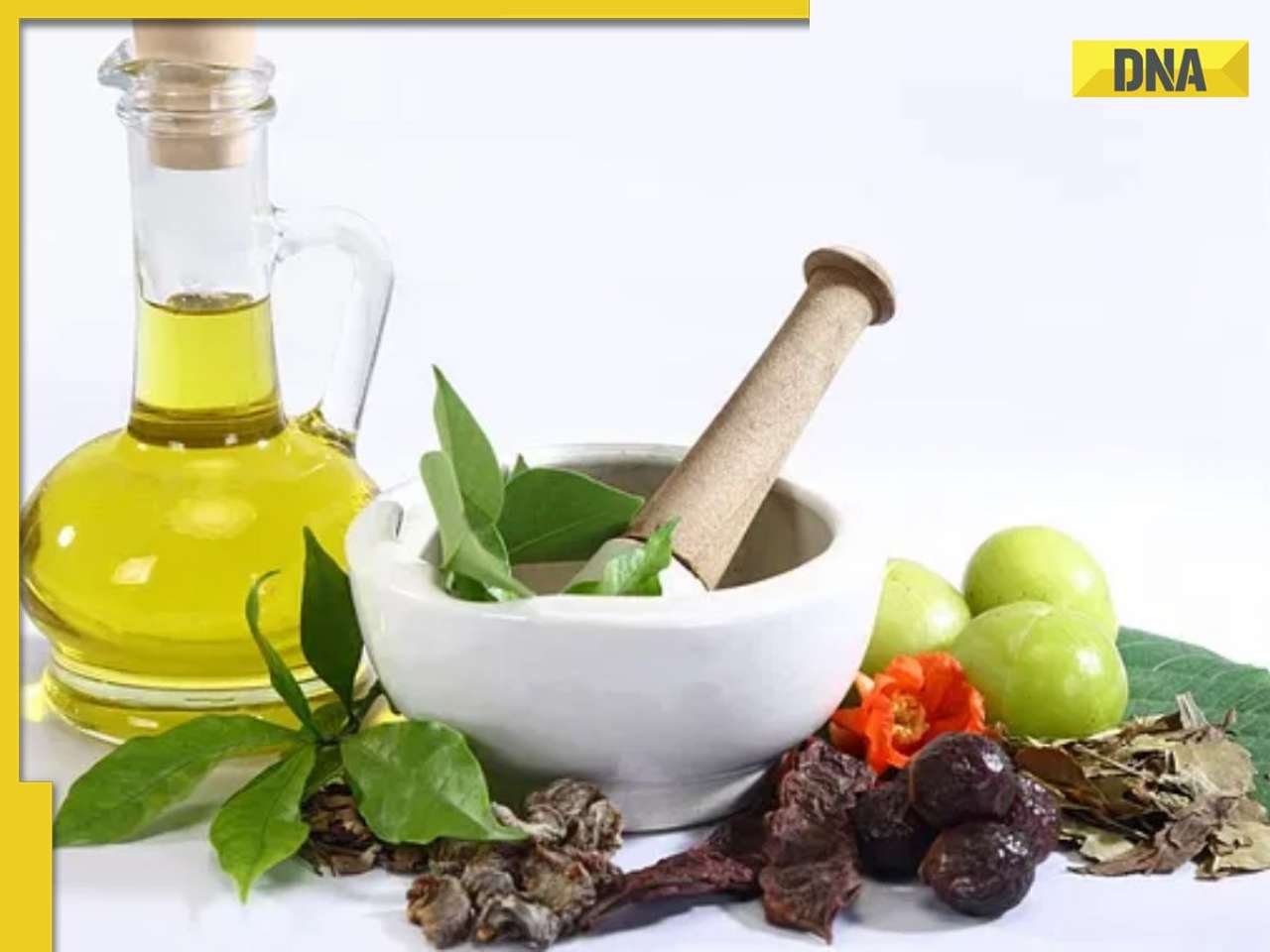 Navratri 2025: 7 time-tested unani tips for healthy feasting meals