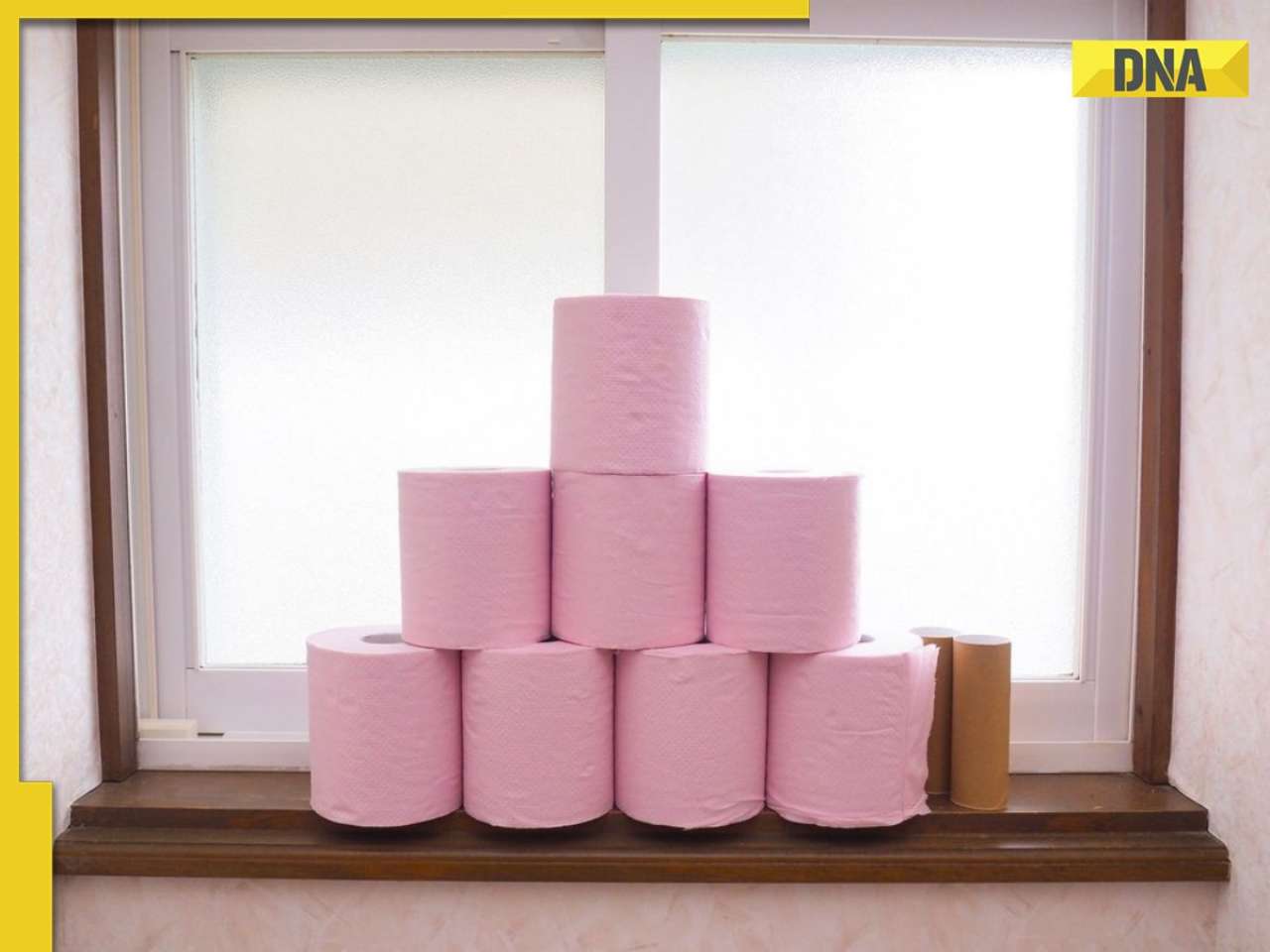 ‘Why pink?’: Why don’t French people use white toilet paper