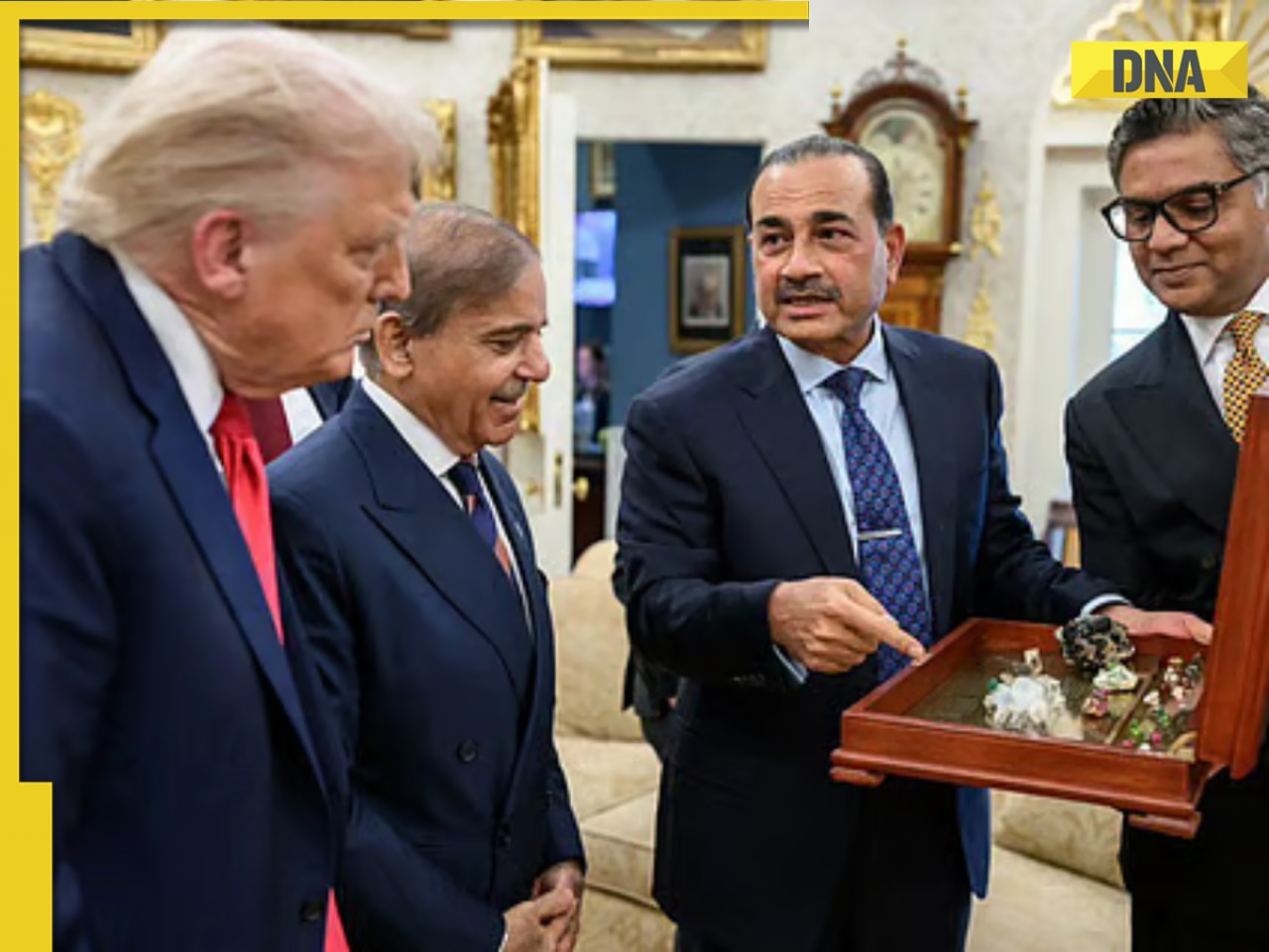 Pakistan tries to woo Donald Trump; PM Sharif, Asim Munir present rare earth minerals at White House meet