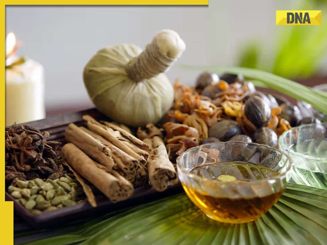 Govt introduces Ayurveda as part of NCERT, UGC curriculum; check details