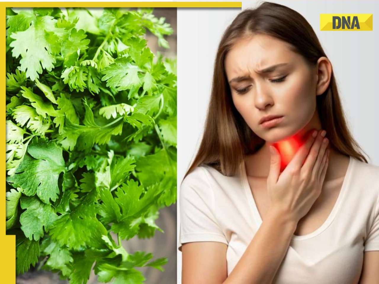 How Coriander seeds can help regulate your Thyroid: Top 3 benefits you should know