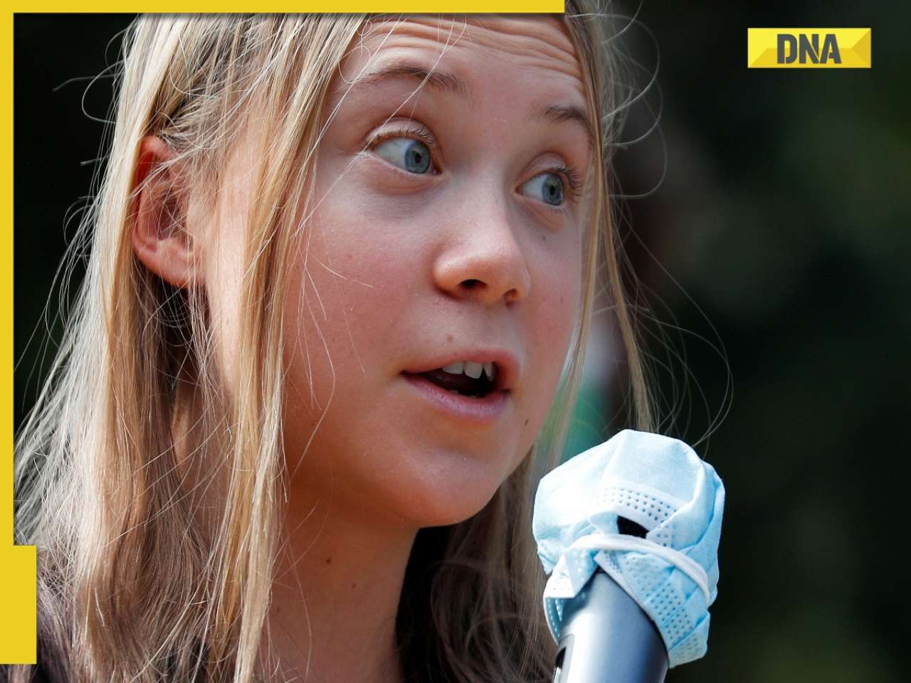 Who is Greta Thunberg? Why Israel detains her on Gaza flotilla, know about her India connection