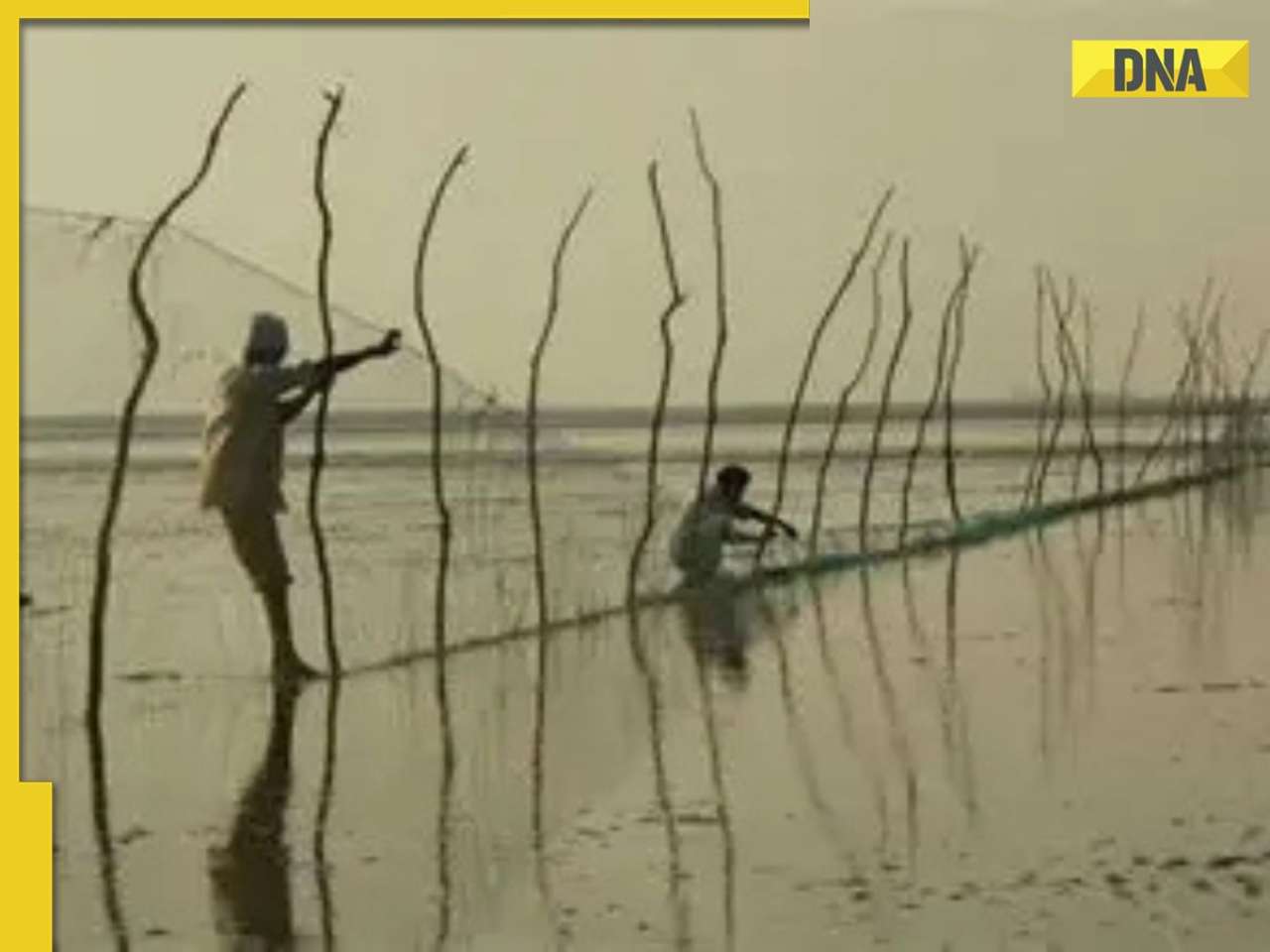 What is Sir Creek? Rajnath Singh's BIG warning, disputed region between India and Pakistan