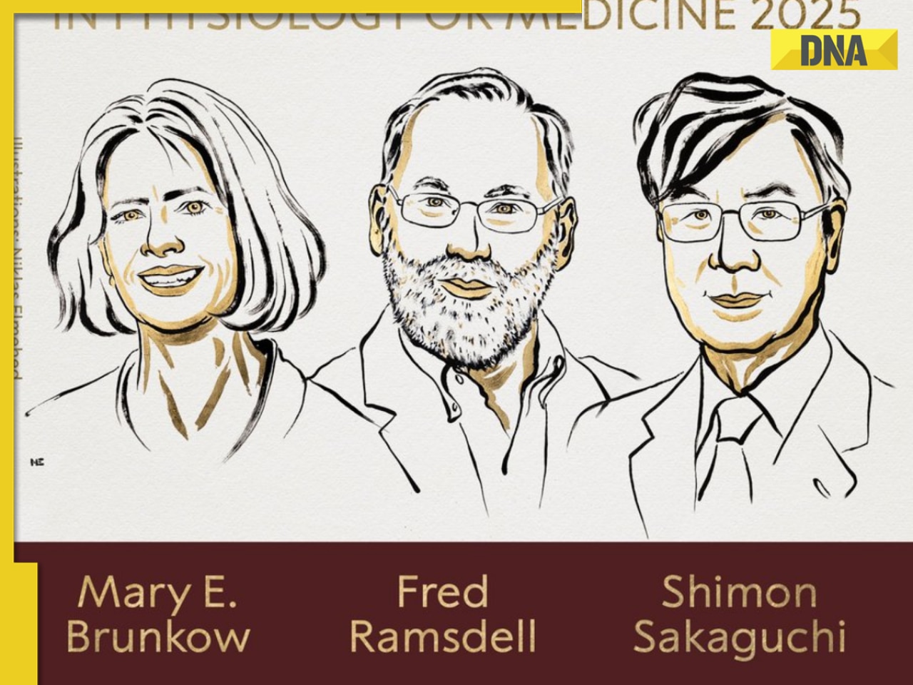 Nobel Prize in Medicine awarded to 3 US and Japanese scientists, here's what we know about their research