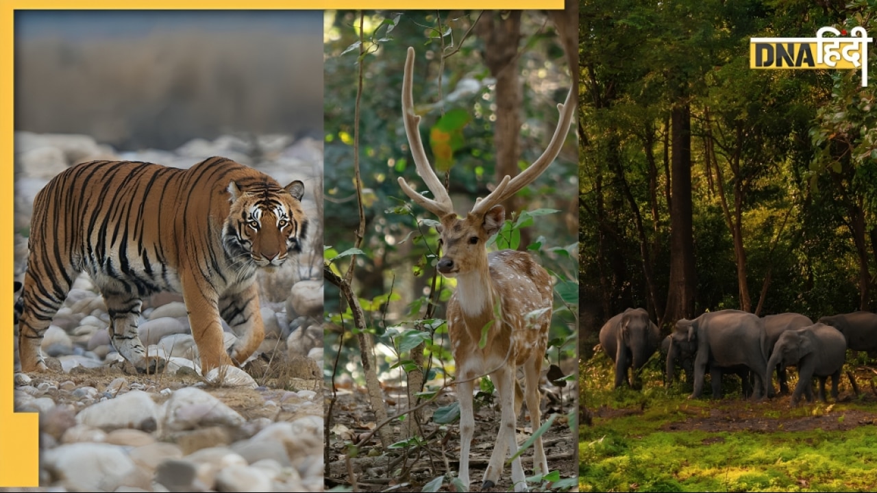 भारत के किन राज्यों में हैं सबसे ज्यादा नेशनल पार्क?