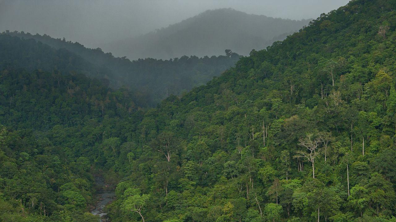 4. केरल - 6 नेशनल पार्क