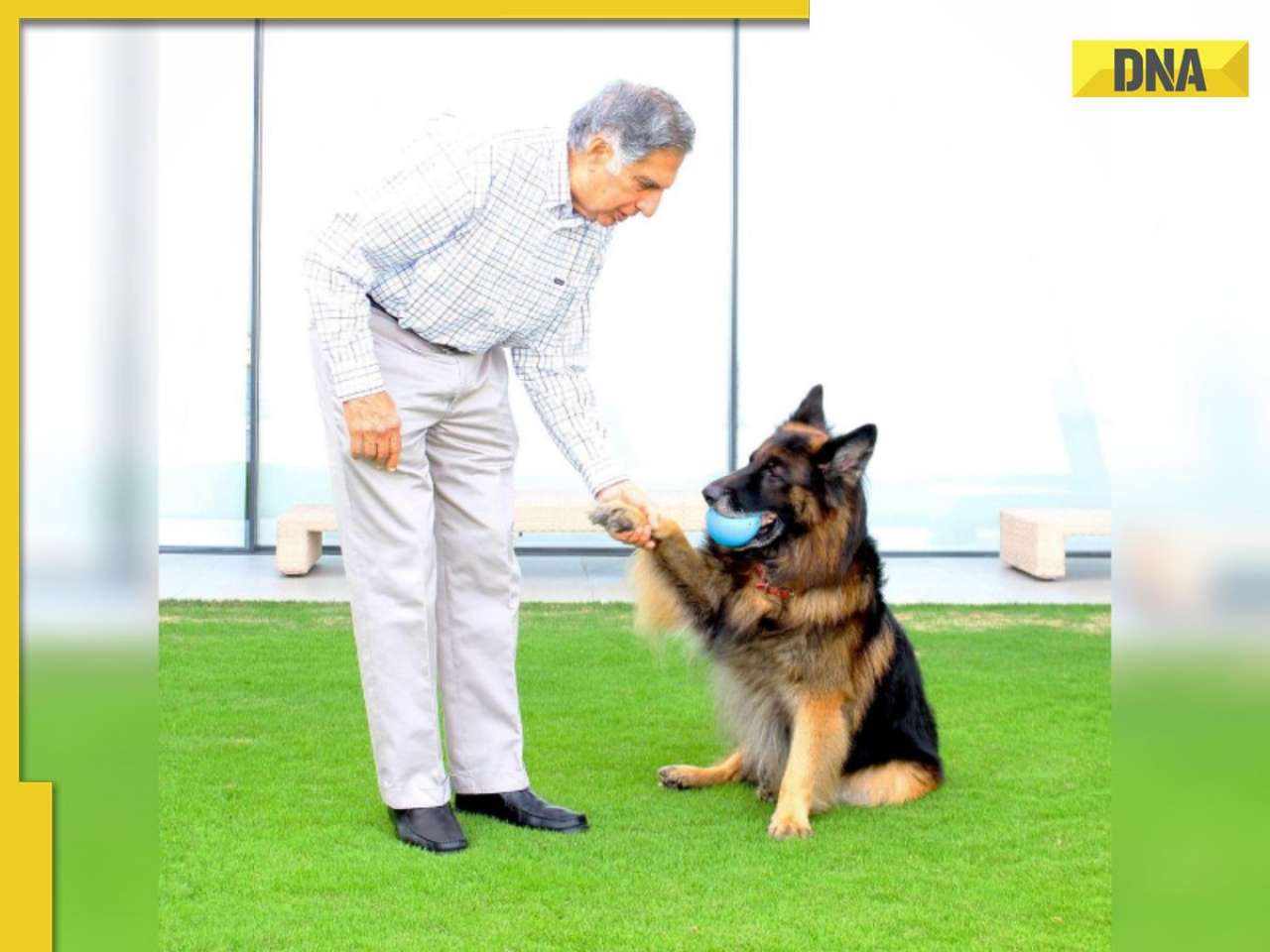 Ratan Tata’s First Death Anniversary: How late industrialist ensured lifelong care for his beloved dog Tito through His Rs 10,000 crore will