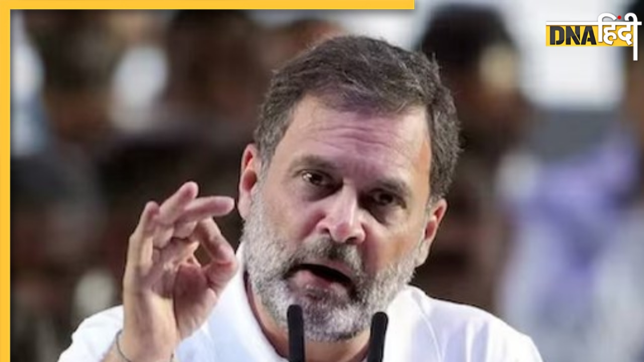 राजनीति के साथ शेयर बाजार में भी एक्टिव हैं राहुल गांधी, जानिए किन कंपनियों में लगाया है पैसा 