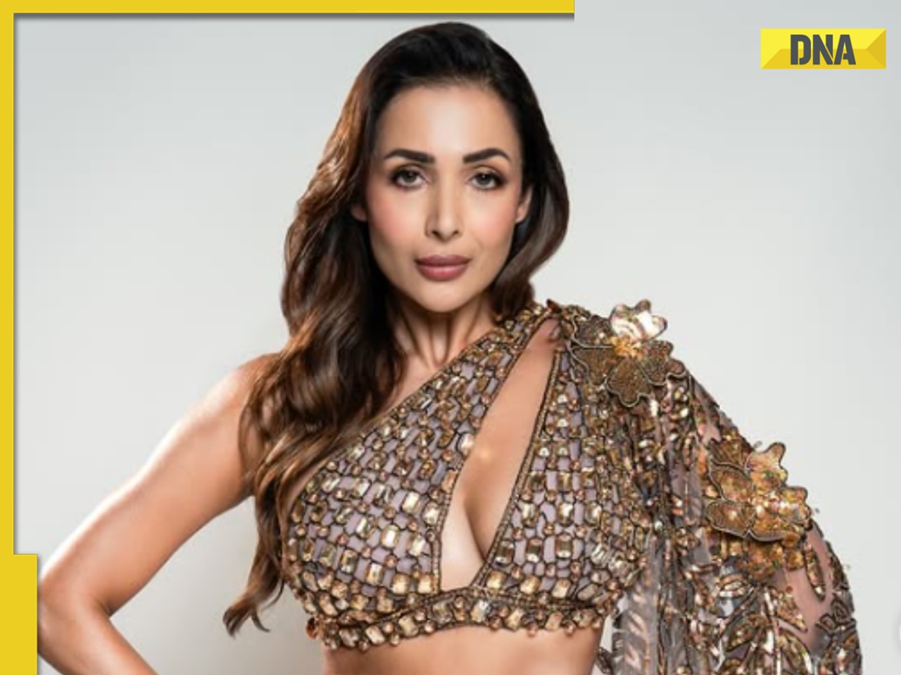 Malaika Arora Turns 52: A peek inside her net worth, lavish 4BHK apartment, luxury cars, investments, more