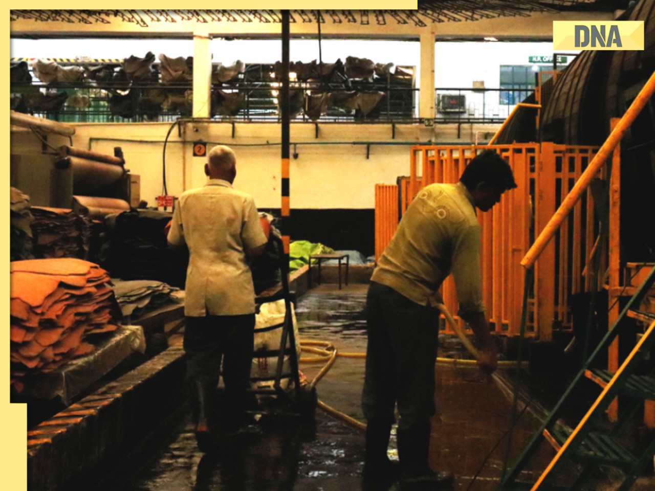 Big blow to India's leather industry, Donald Trump's tariff to hit companies' revenue by 12 per cent due to...