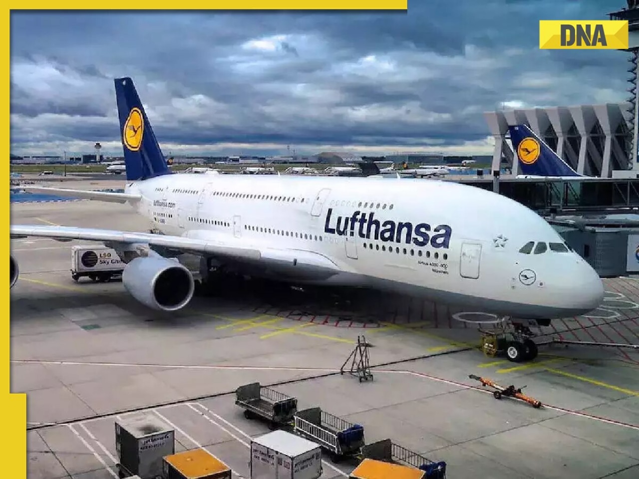 Indian man stabs two teens on US-Germany Lufthansa flight, faces 10 years in prison; here's what happened