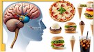 10 Addictive Foods: नशे जैसी लत लगाते हैं ये फूड आइटम्स, जानिए दिमाग और सेहत पर कैसे होता है असर