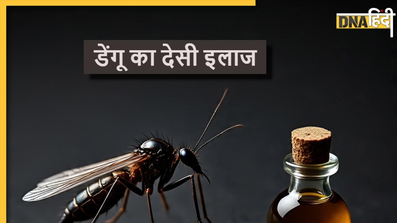 Dengue Ka Desi Upchar: डेंगू के मच्छरों पर भारी पड़ेंगे ये देसी नुस्खे, बुखार-दर्द से ऐसे बच सकते हैं आप
