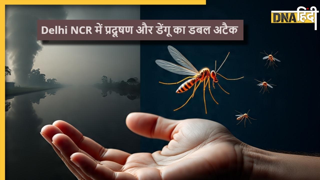 Delhi NCR में प्रदूषण और डेंगू का डबल अटैक, मच्छरों की डंक से 2 की मौत, 1136 नए मामले दर्ज! कैसे करें बचाव? 