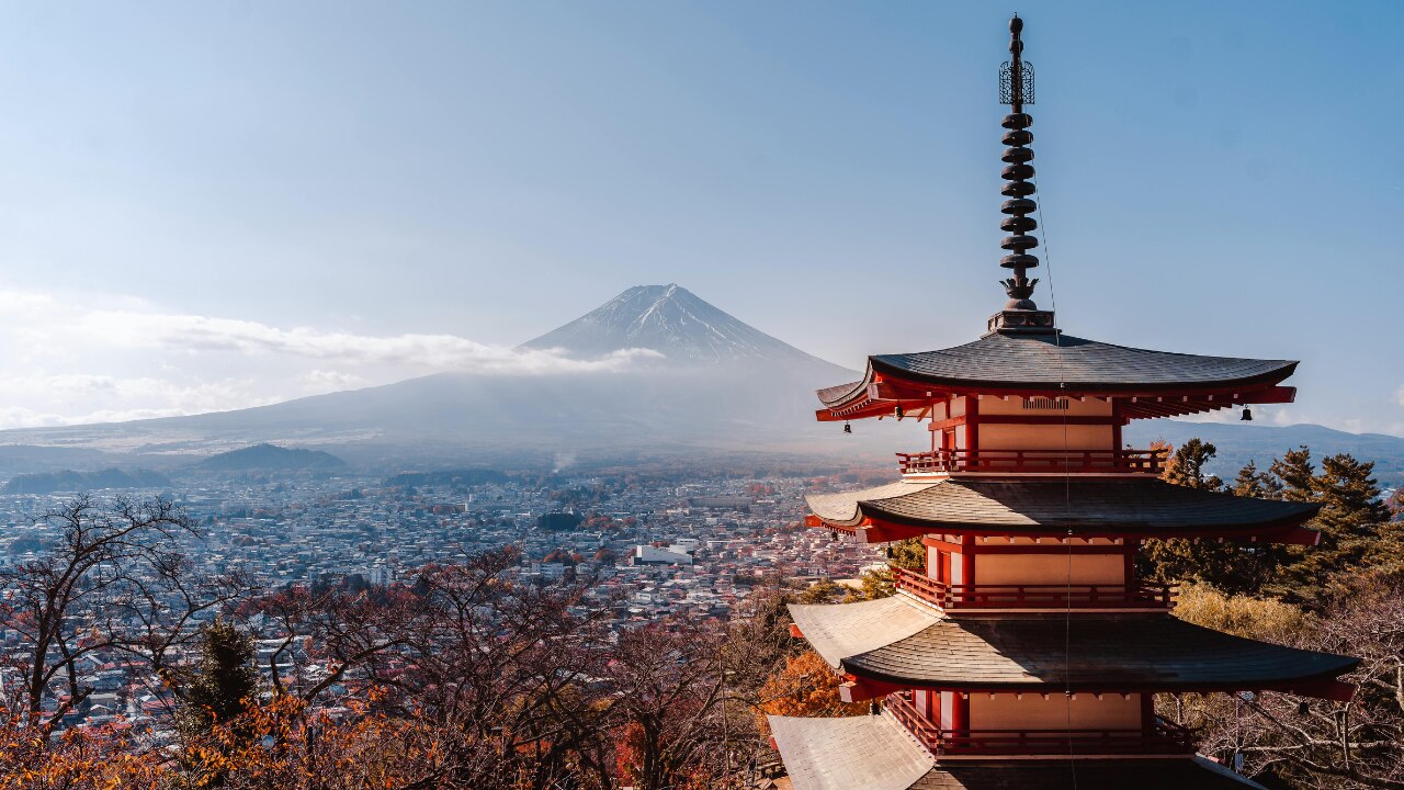 Japan: 845.97 Tonnes