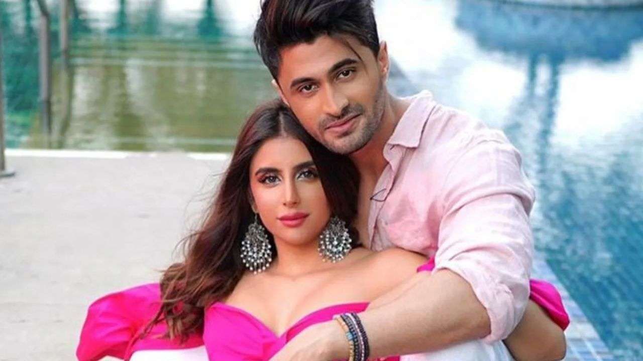 Ieshaan Sehgal and Miesha Iyer (Bigg Boss 15)