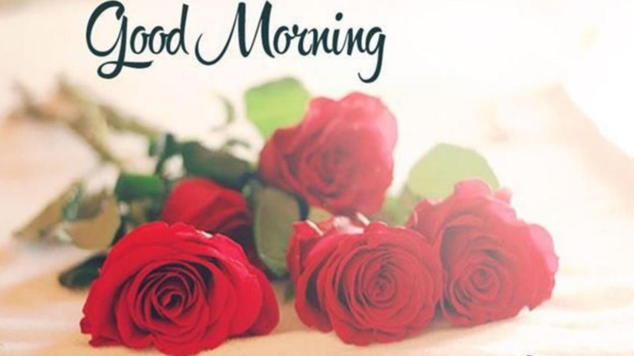 Good Morning Wishes For Wife