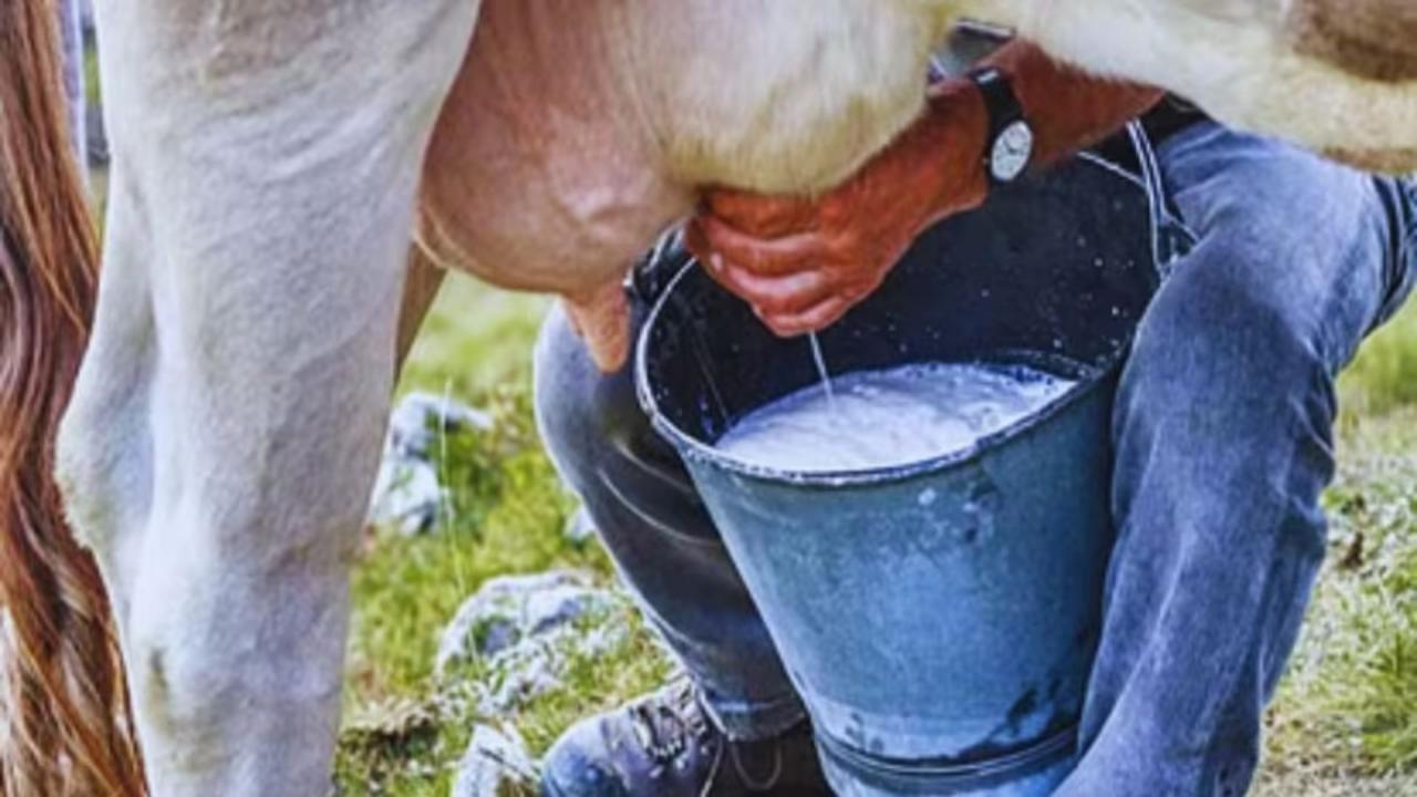 कब शुरू किया अपना बिजनेस? 