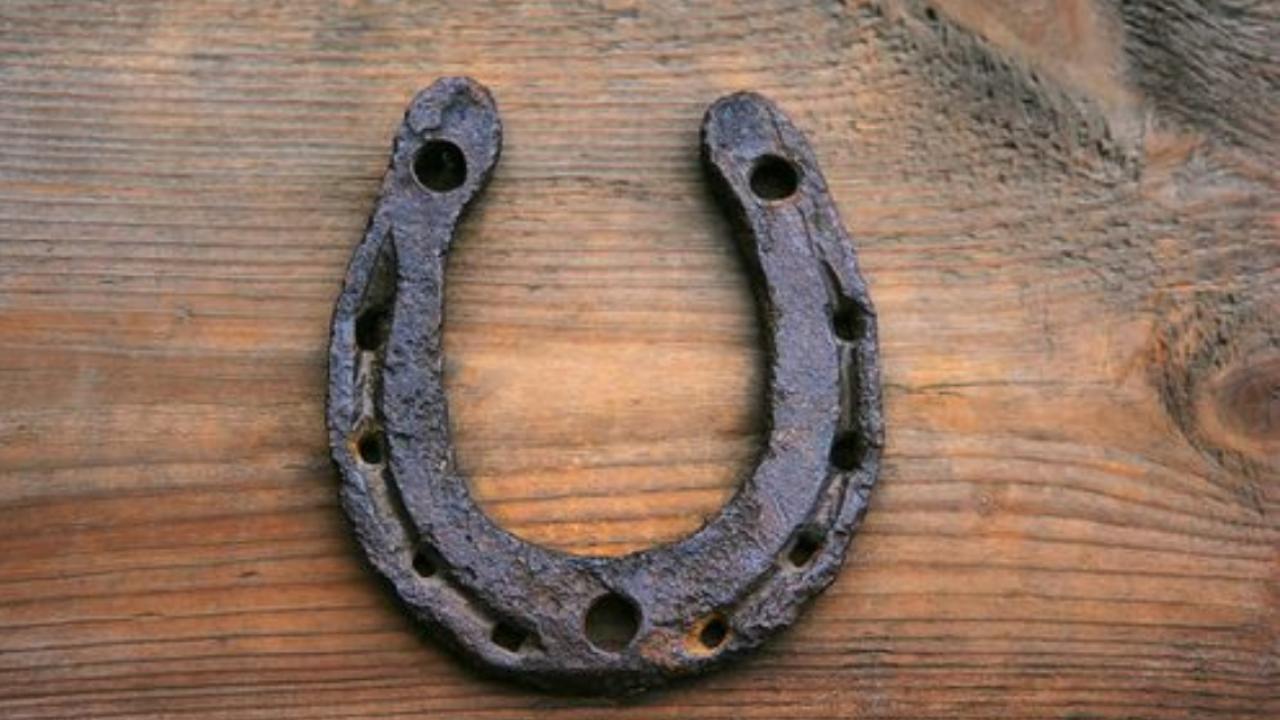 घर में कहां लगाएं घोड़े की नाल?