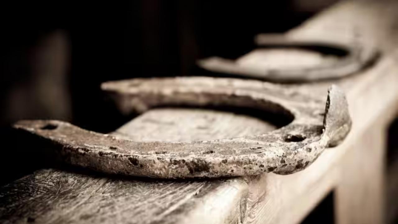 किस दिशा में लगाएं घोड़े की नाल?