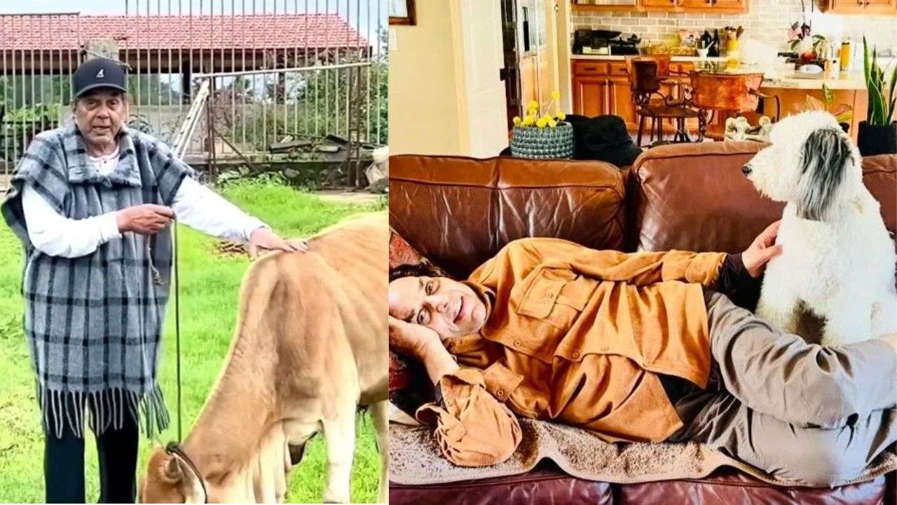 Dharmendra Health Update: Inside He-Man’s 100-acre serene Lonavala farmhouse surrounded by breathtaking views; SEE PICS