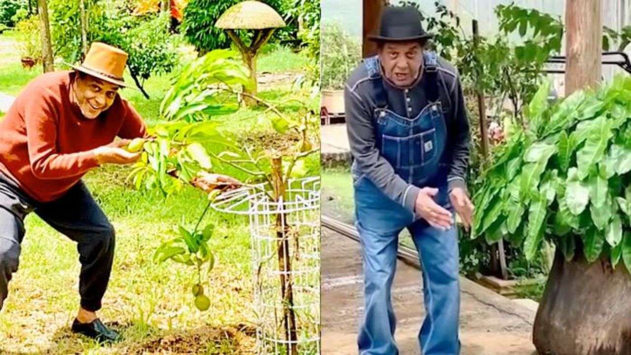 Haven for health and peace